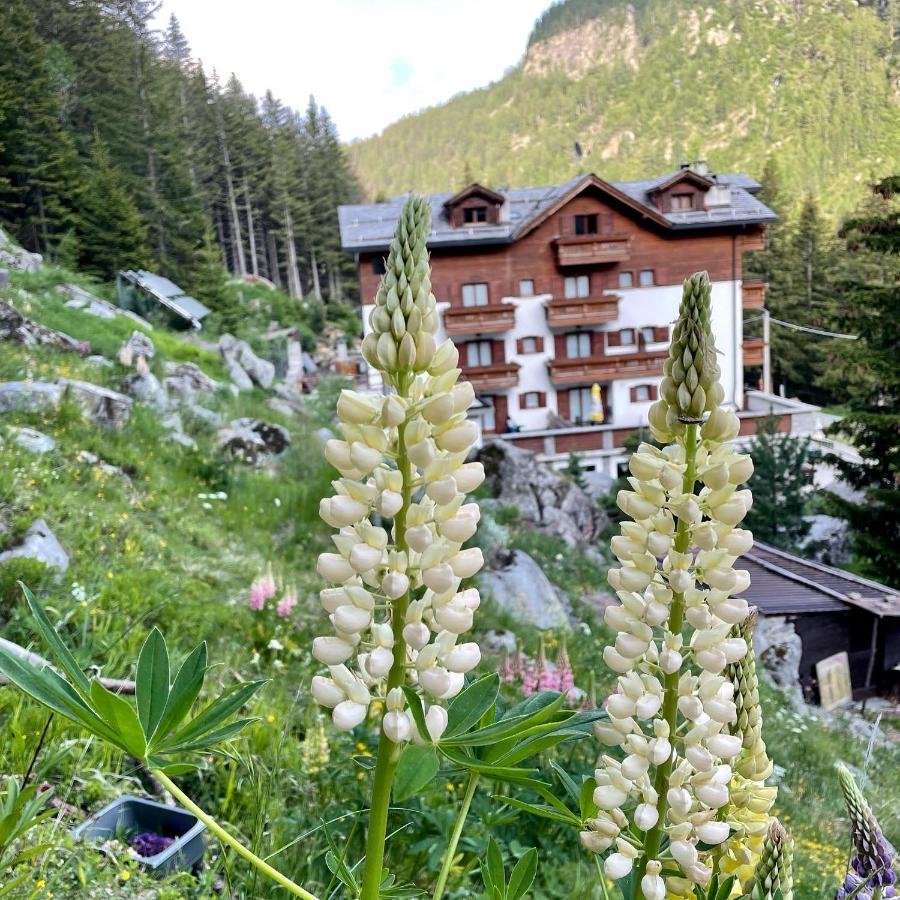 Hotel Gembro Chiesa in Valmalenco Ngoại thất bức ảnh